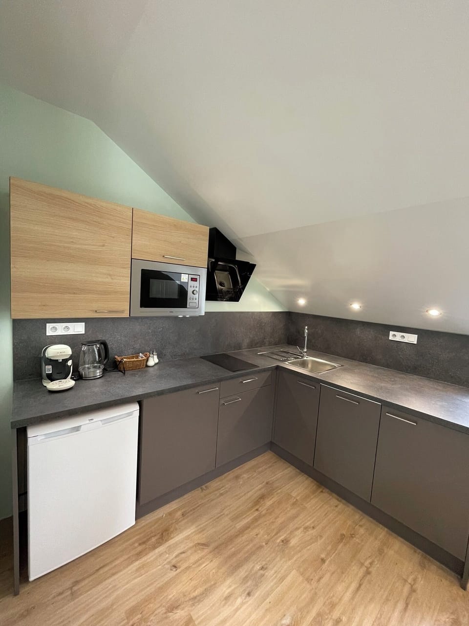 Apartment (5) | Private kitchen | Fridge, microwave, stovetop, dishwasher