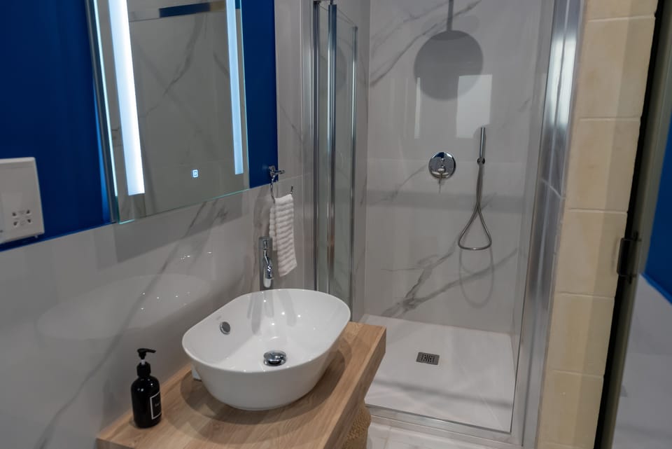 Queen Room | Bathroom shower