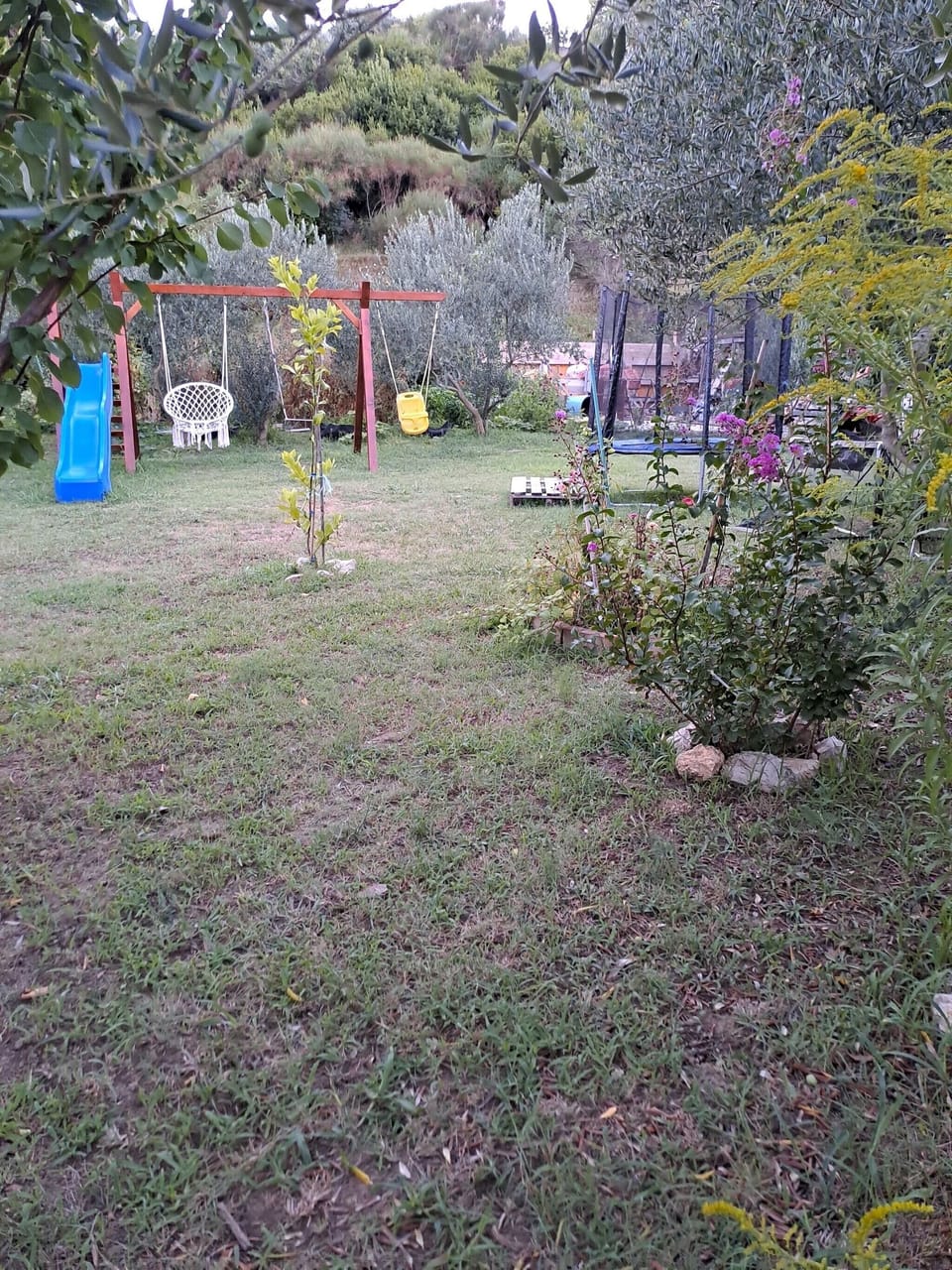 Area
