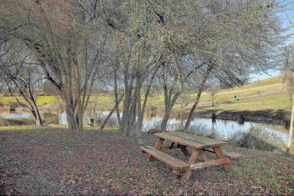 "Fantastic stay. Everything was as described in the listing and other reviews. Lovely mornings and evenings sitting outside by the pond." - Jennifer