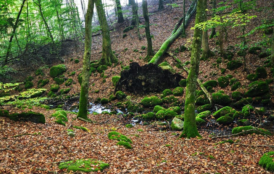 area