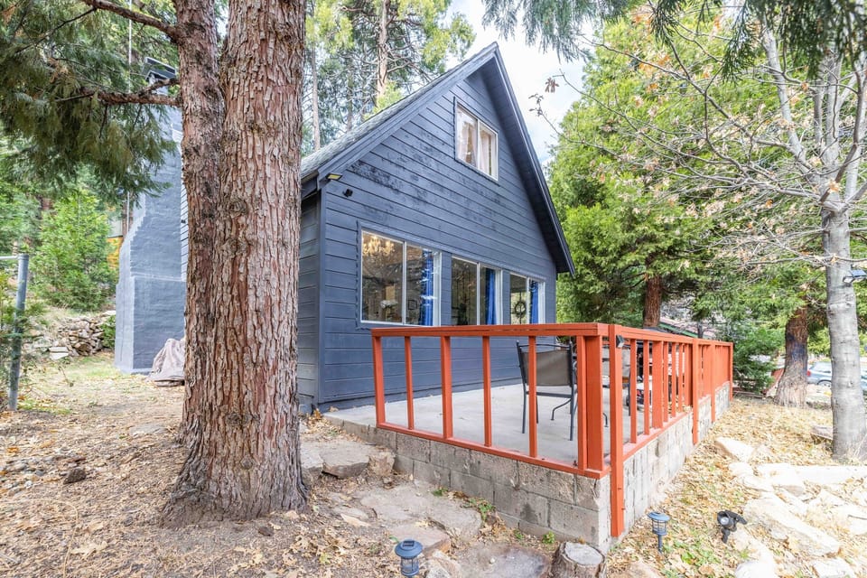 Follow the steps from our dirt driveway to our patio.  