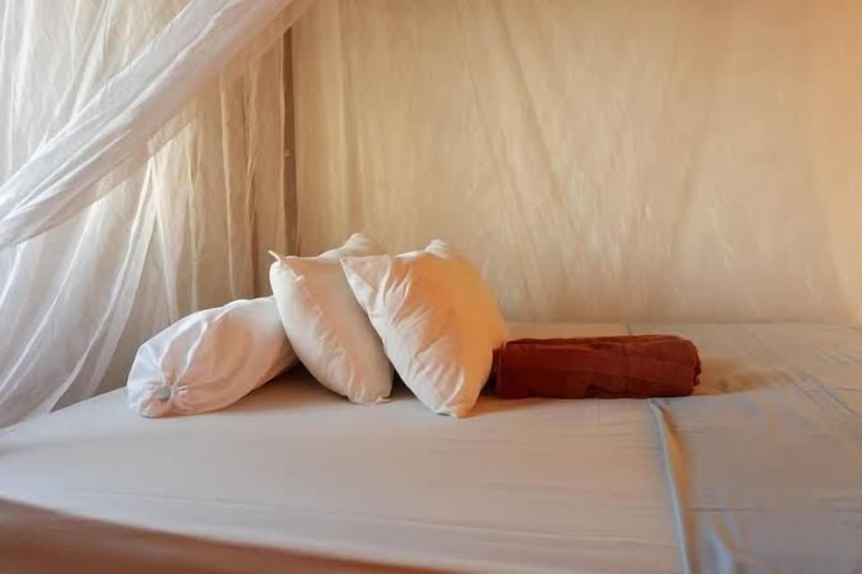 Basic Double Room