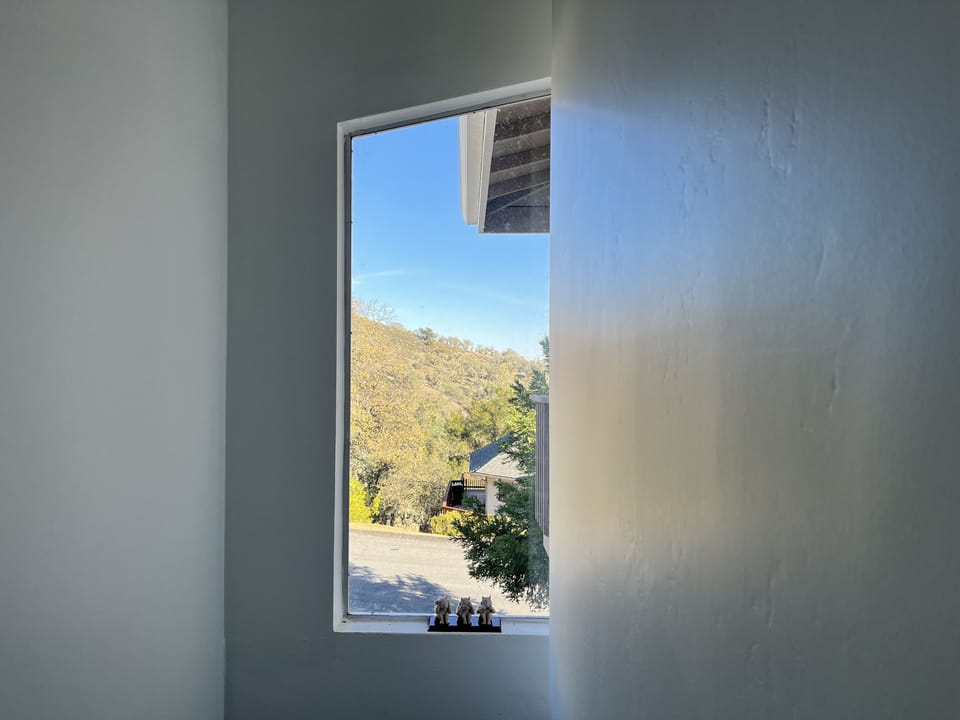 Staircase window