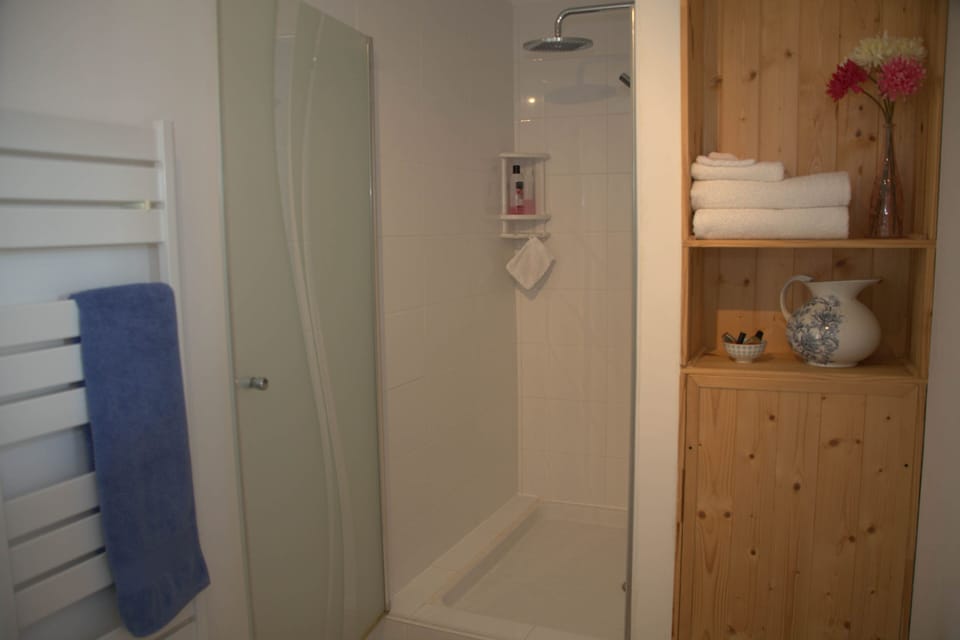 Gite 2 Shower