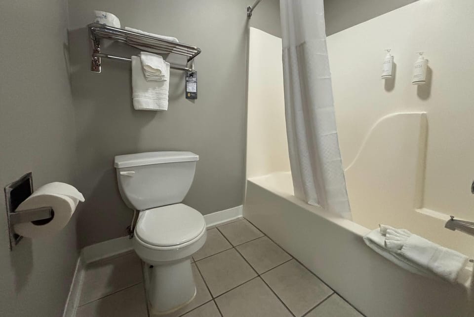 Combined shower/tub, free toiletries, hair dryer, towels