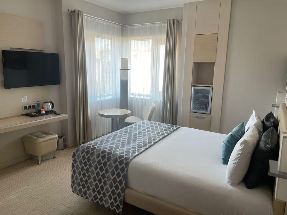 Standard Single Room, 1 Double Bed, City View | Minibar, free cribs/infant beds, rollaway beds, free WiFi