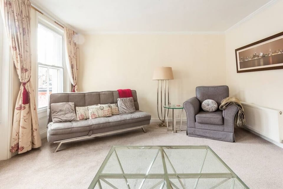 Living room and the sofa bed