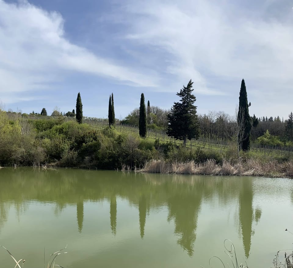 Lake
