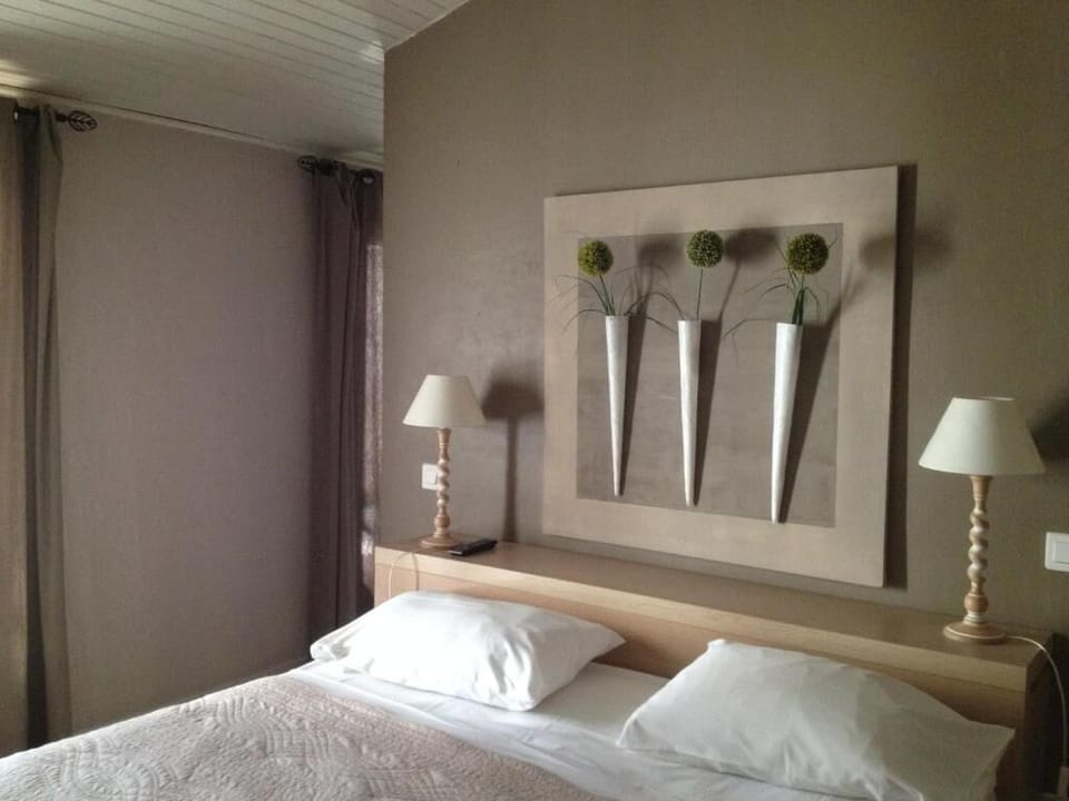 Comfort Double Room, Private Bathroom, Pool View (Chambre Double ou Twin, vue Piscine) | Desk, laptop workspace, blackout drapes, iron/ironing board