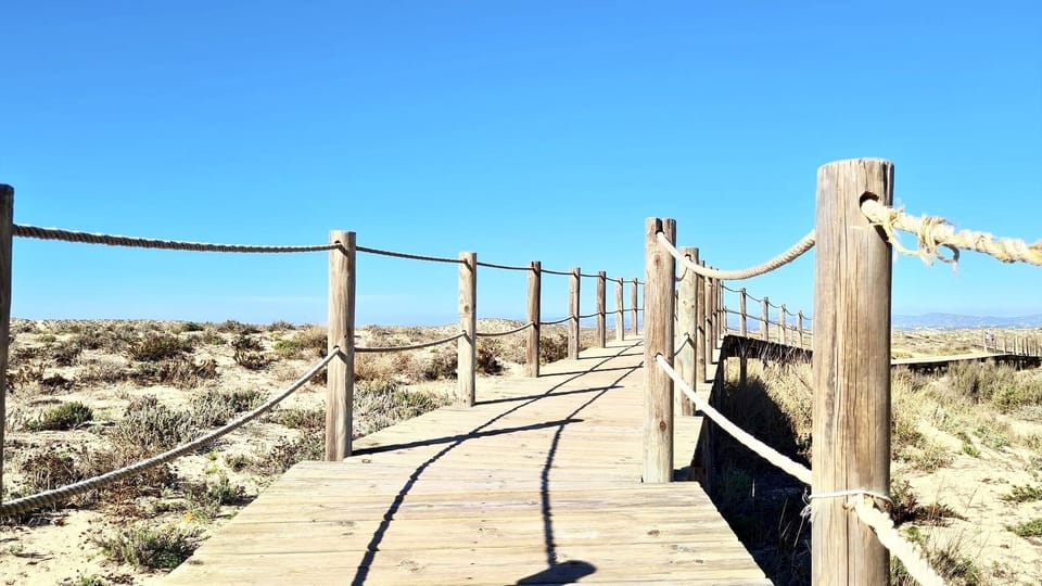 direct way to beach paradise just in some minutes , acces by ferry ria formosa 