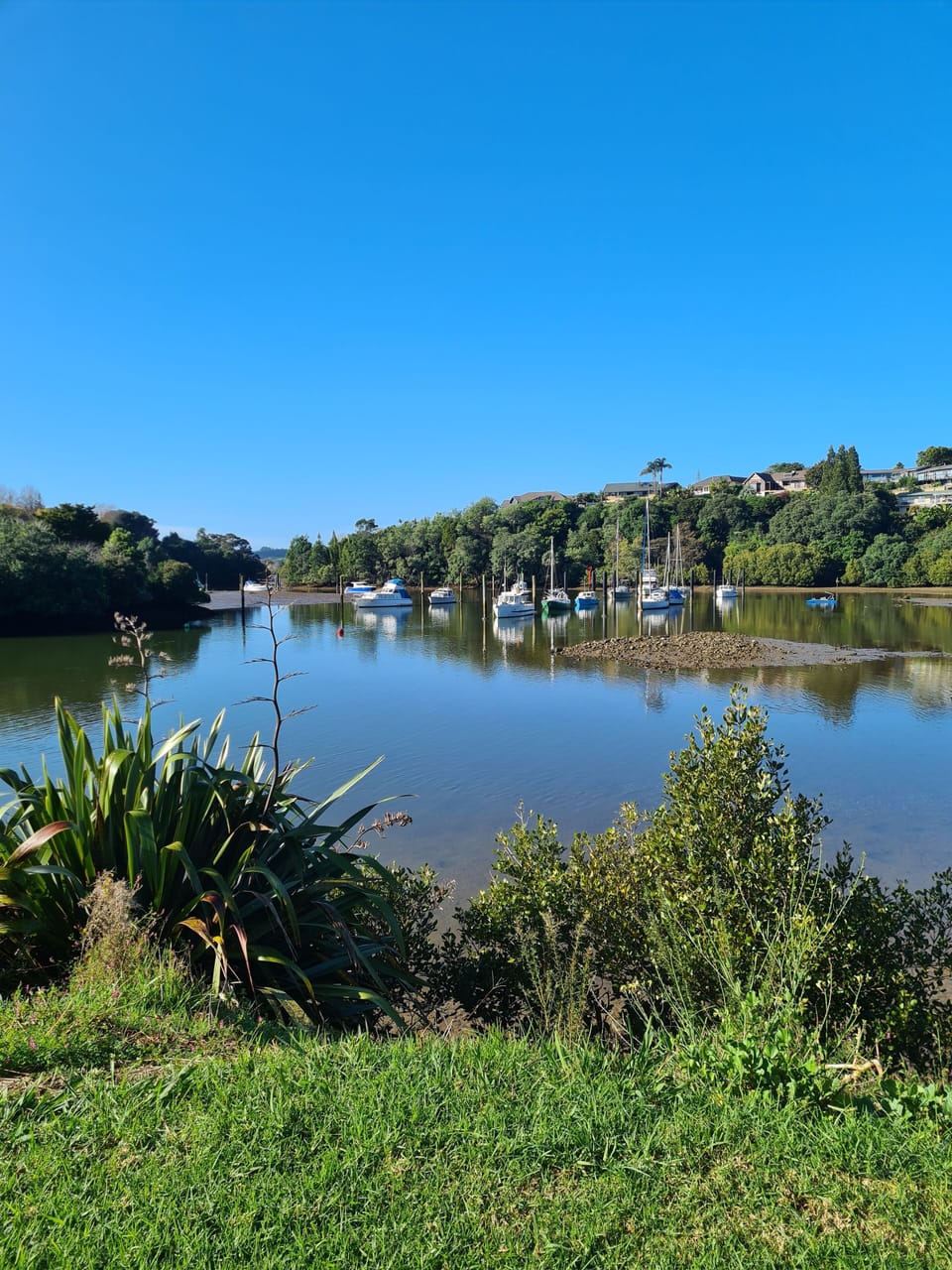 Waipapa Landing boat ramp view