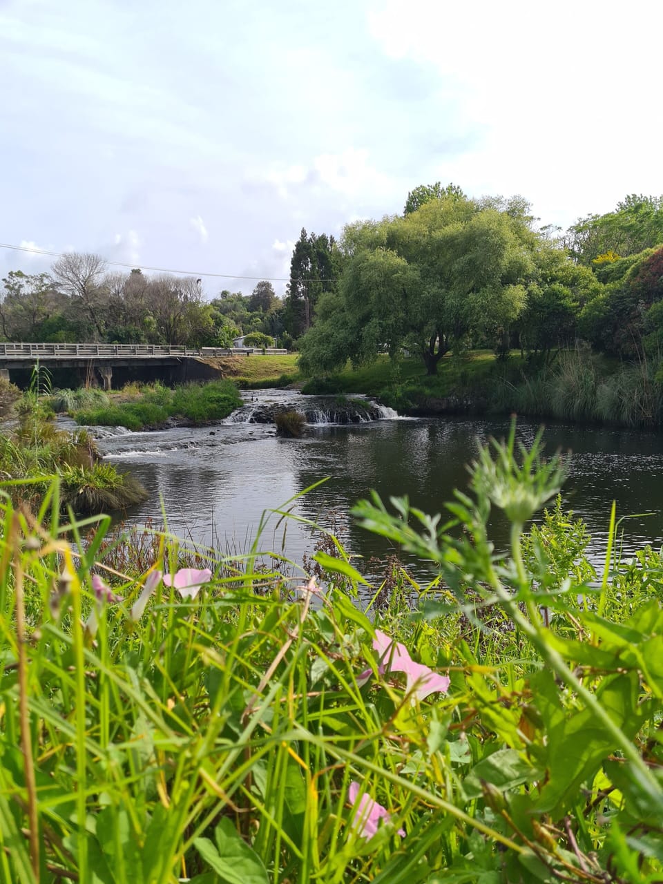 Landing road bridge near the Waipapa Landing boat ramp