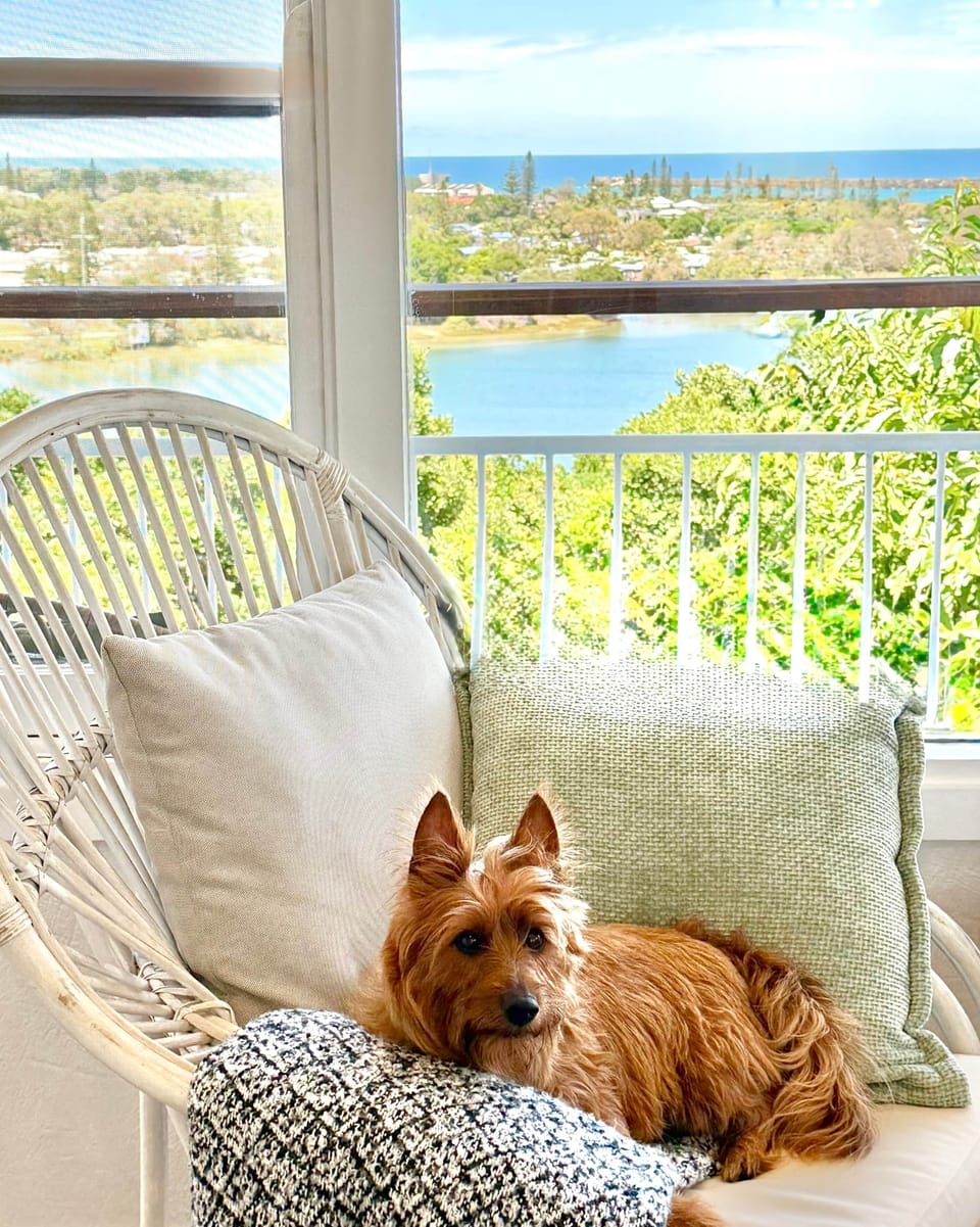 Furry Friends are Welcome to.
