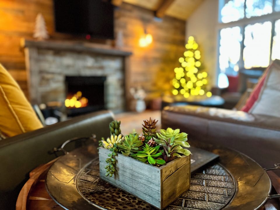 Living room space with a wood fireplace.  Xmas tree up at Christmas.