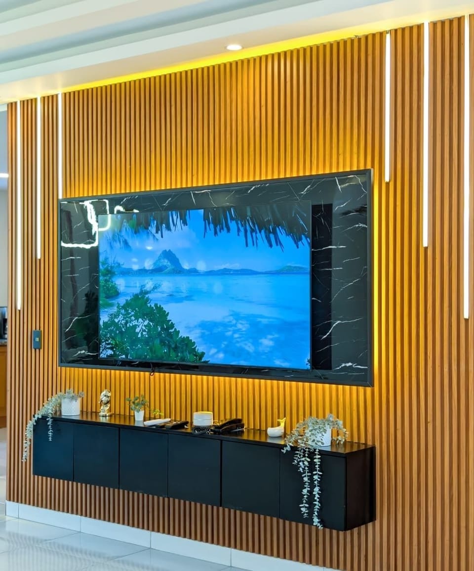 Television
