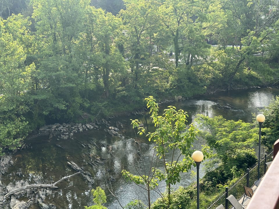 View from property