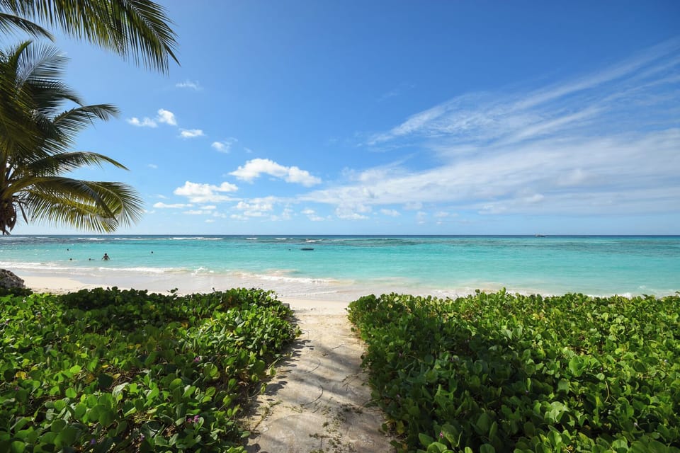 Pathway to the beach