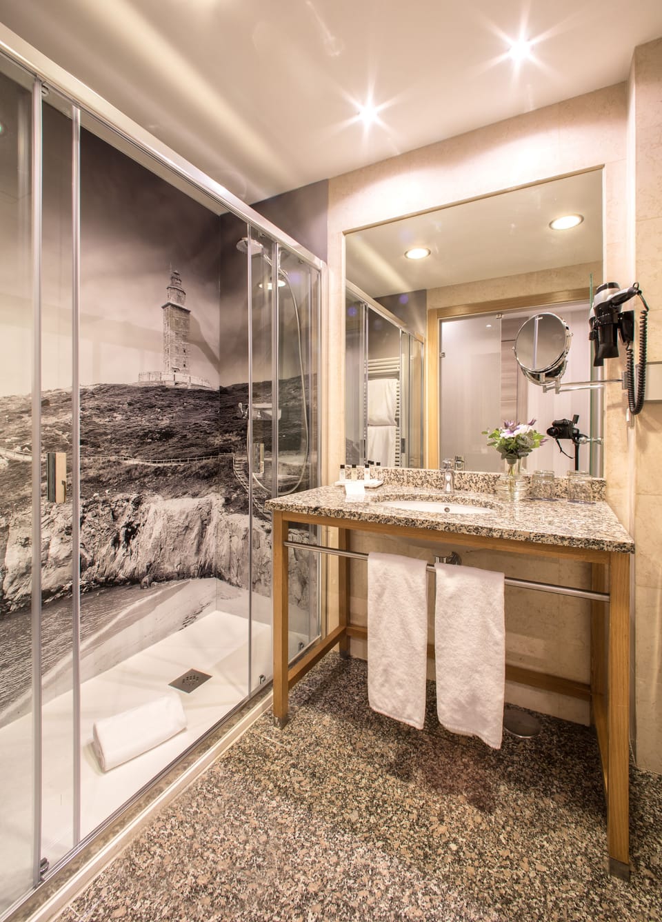 Combined shower/tub, free toiletries, hair dryer, towels