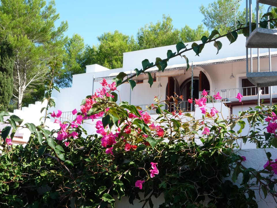 La villa: dettaglio