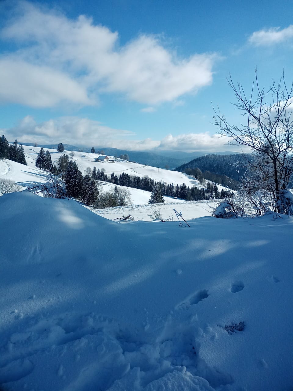 Snow and ski sports