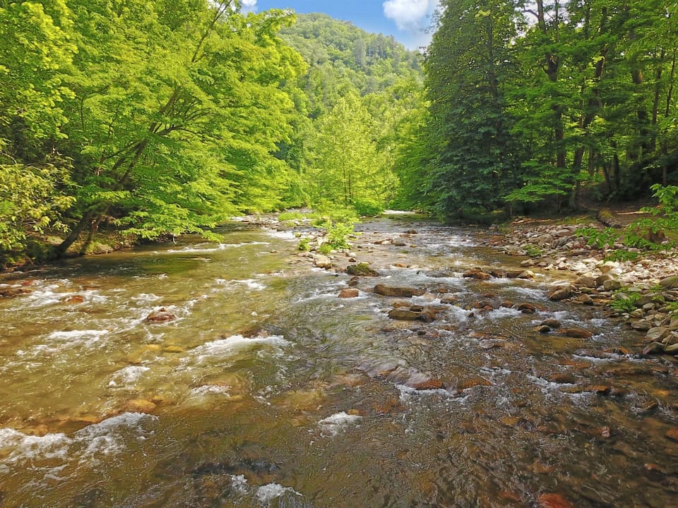 Spring Creek borders the property on one side. Fish, lay in the hammocks, picnic