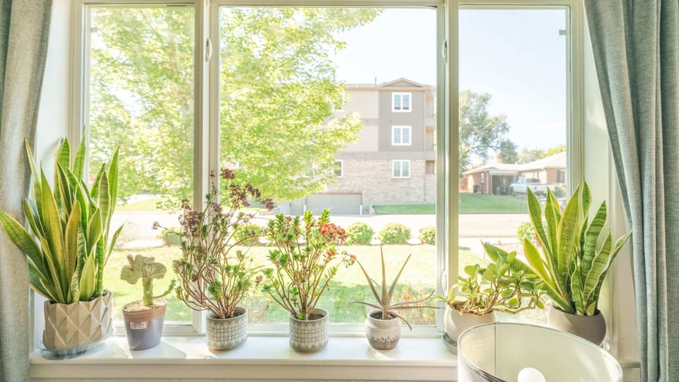 The view out of the front living room window to our front garden and street. Parking is typically always available on the street in front of the house
