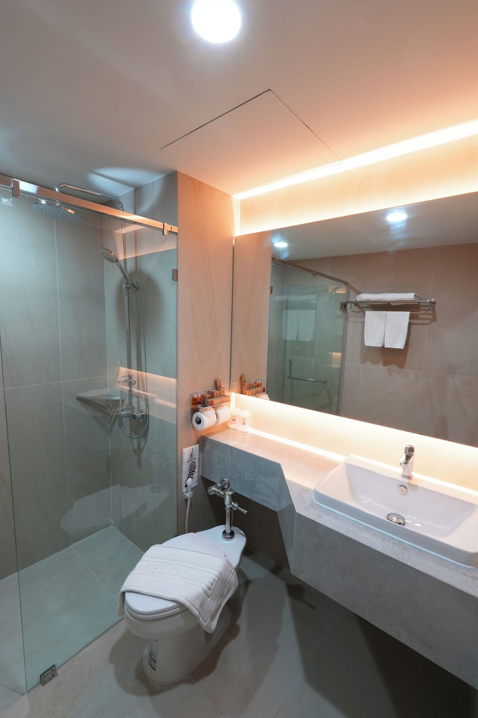 Grand Executive Room | Bathroom | Combined shower/tub, free toiletries, towels, soap