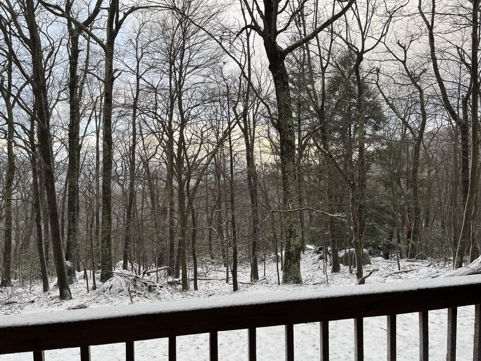 Winter views from the private back porch 