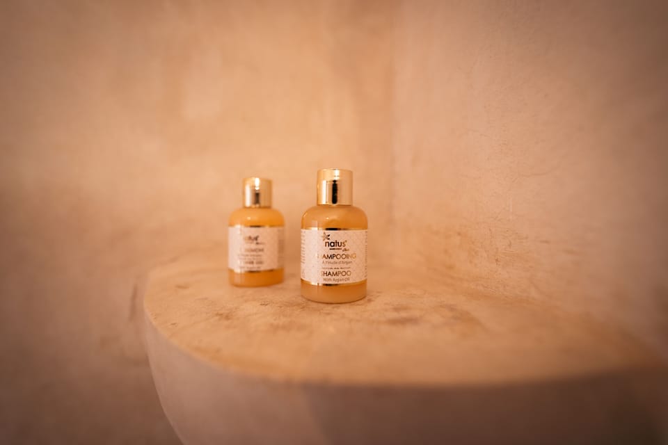 Suite | Bathroom | Shower, free toiletries, hair dryer, towels