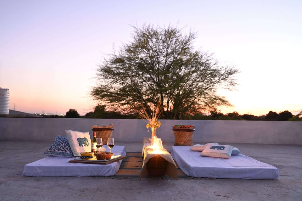 Tree of Life of Leopard Caves, Jawai Hotel in Rajasthan
