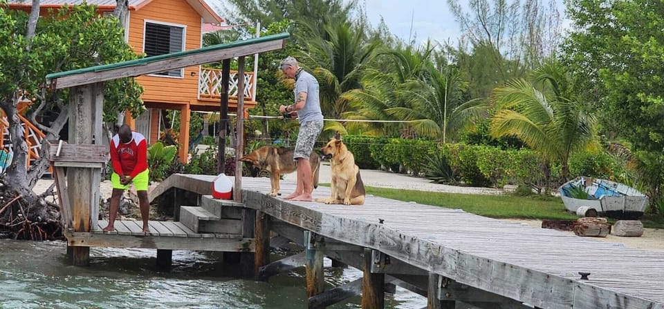Pet-friendly