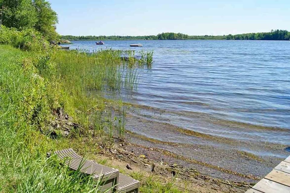 Cole Lake Shoreline