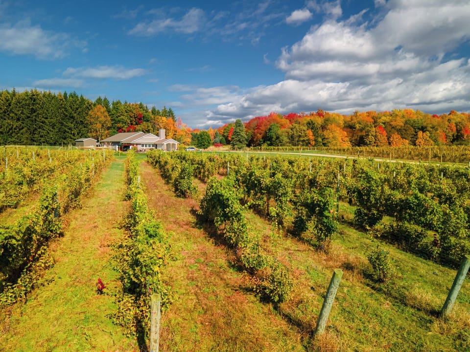 Head to top wineries, trails, and fall markets — all within minutes, with your hot tub and fireplace waiting when you return.