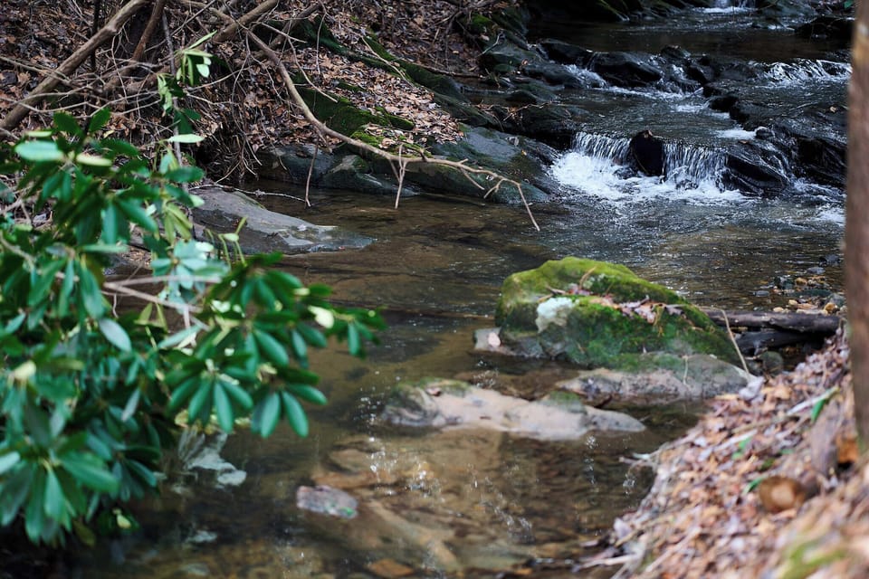 The sound of the rushing creek provides a calming soundtrack to a mountain trip.