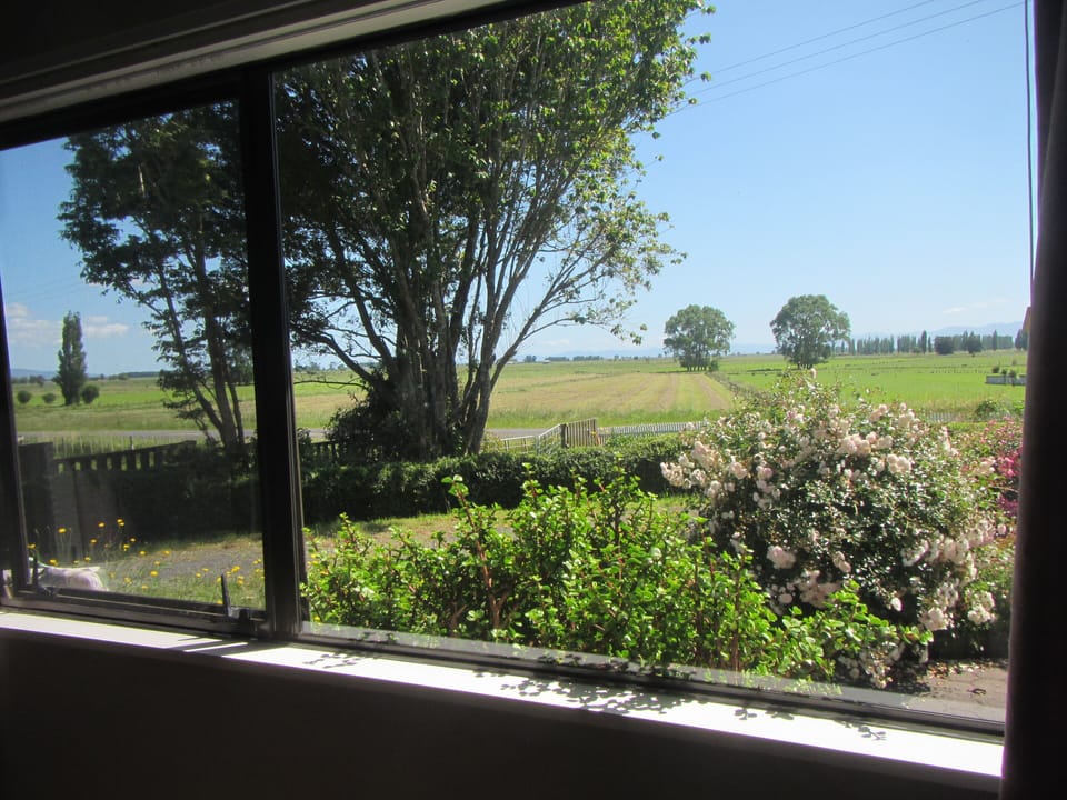 Windows are screened