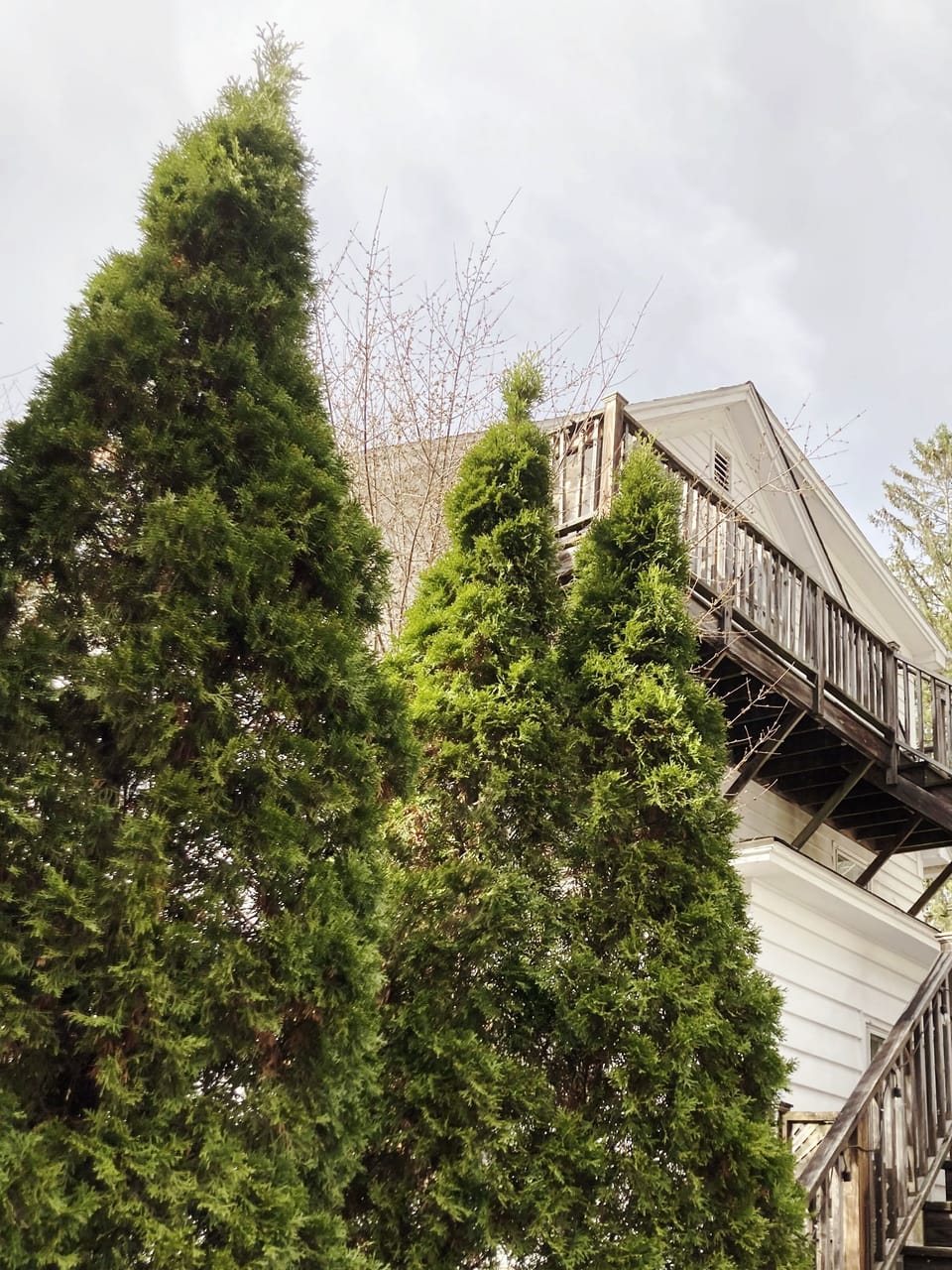 Romantic sky loft with steam shower and giant tub. Breweries and hiking nearby Apartment in Phoenicia