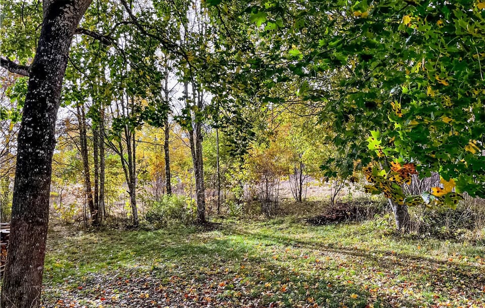 area