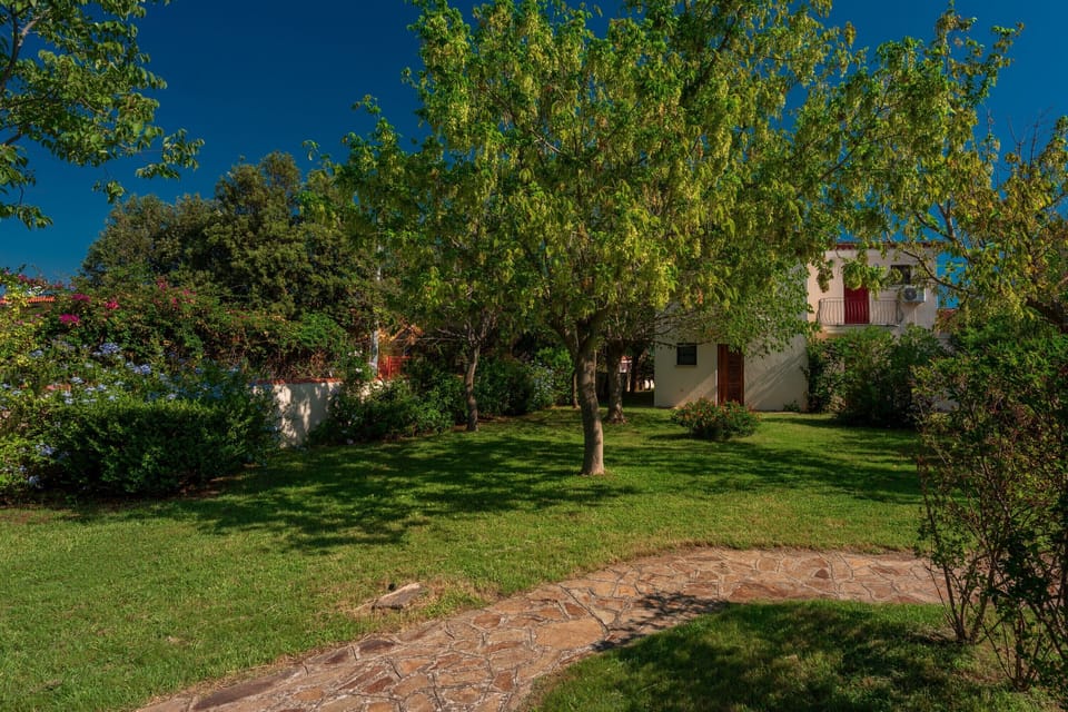 Shared Garden