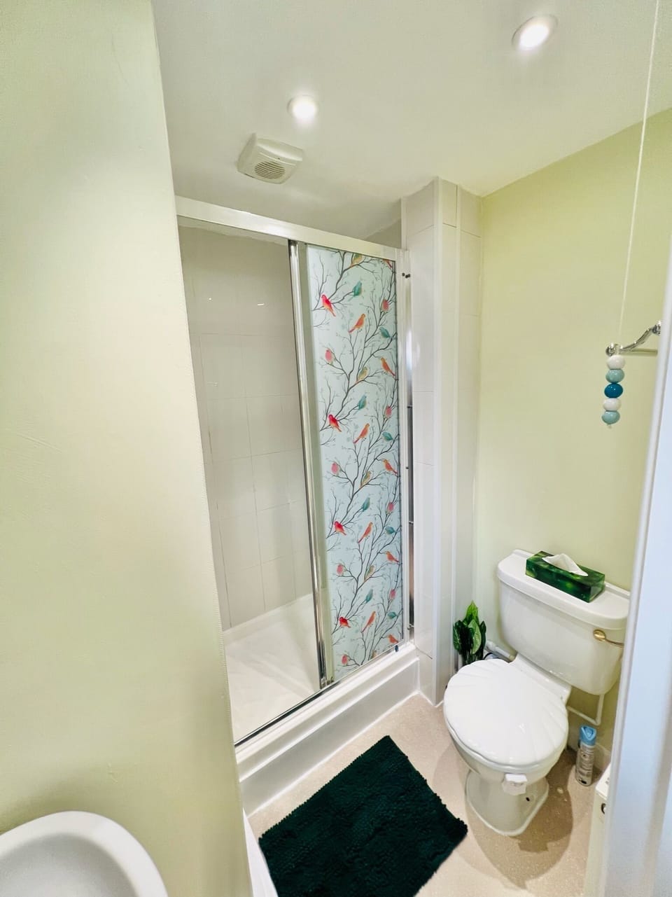 Dapps Hill Haven Apartment in Bristol