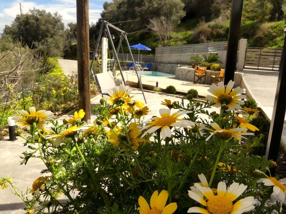 Garden, Scenic View