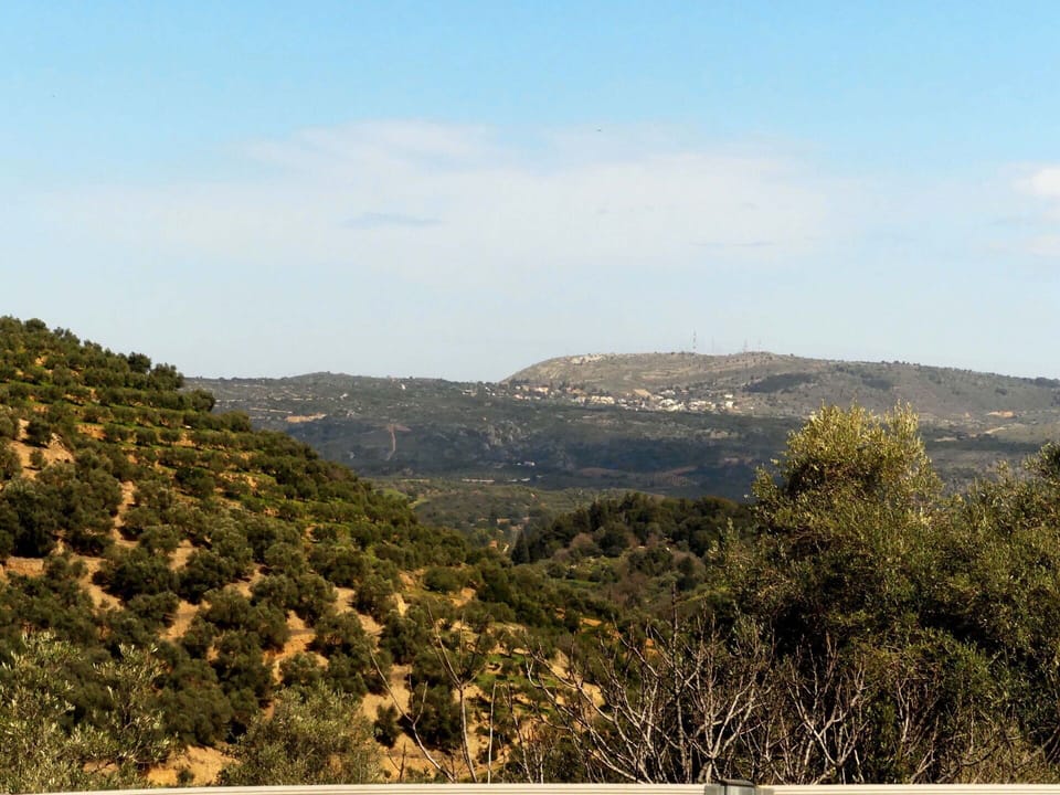 Scenic View