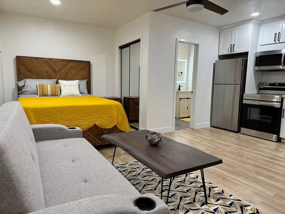 Modern Living Room with comfortable pull-out sofa bed.