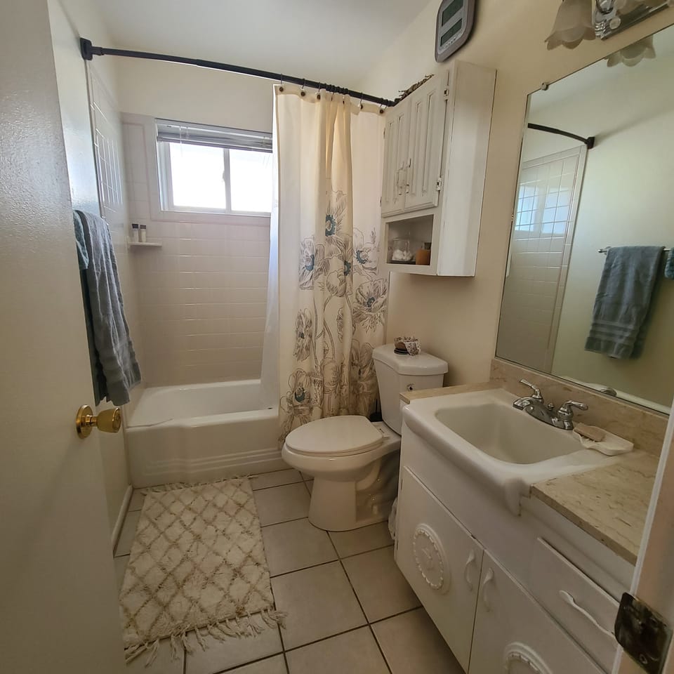 main bath tub/shower