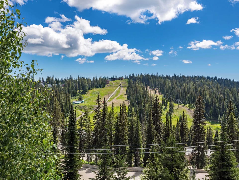 Ski Hill