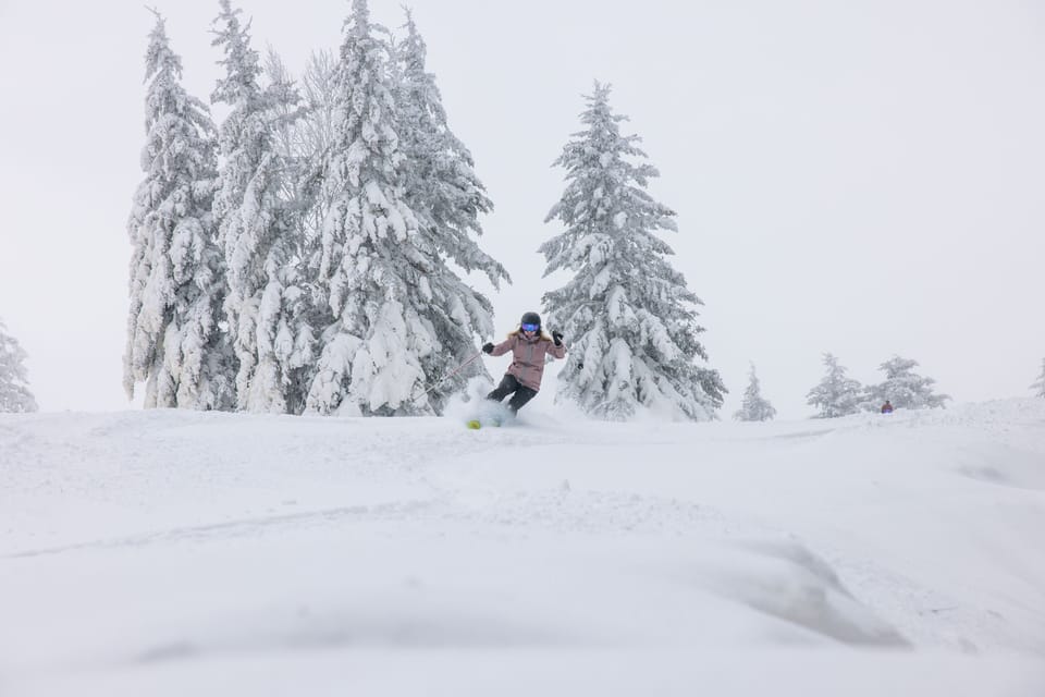 Tree, Nature, Outdoors, Fir, Snow