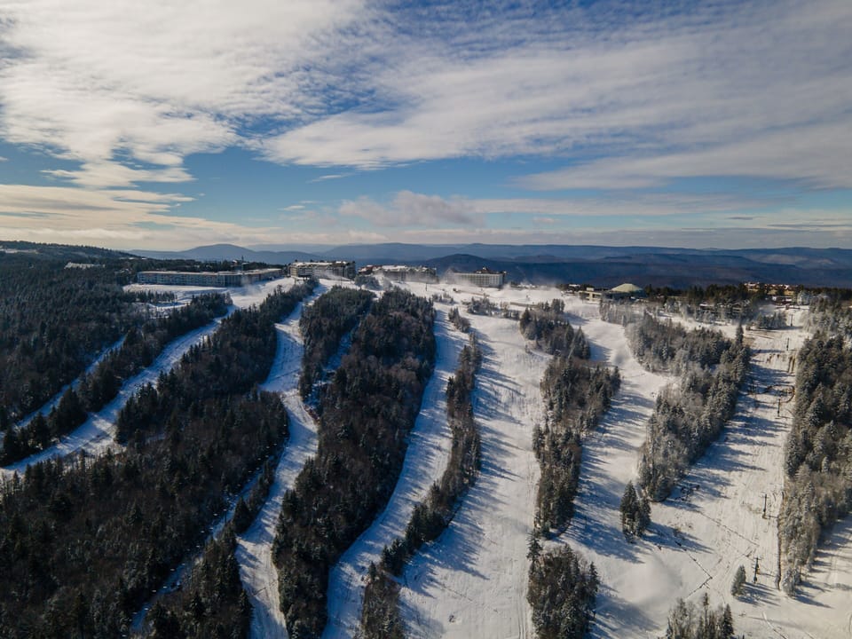 Tree, Fir, Outdoors, Scenery, Nature