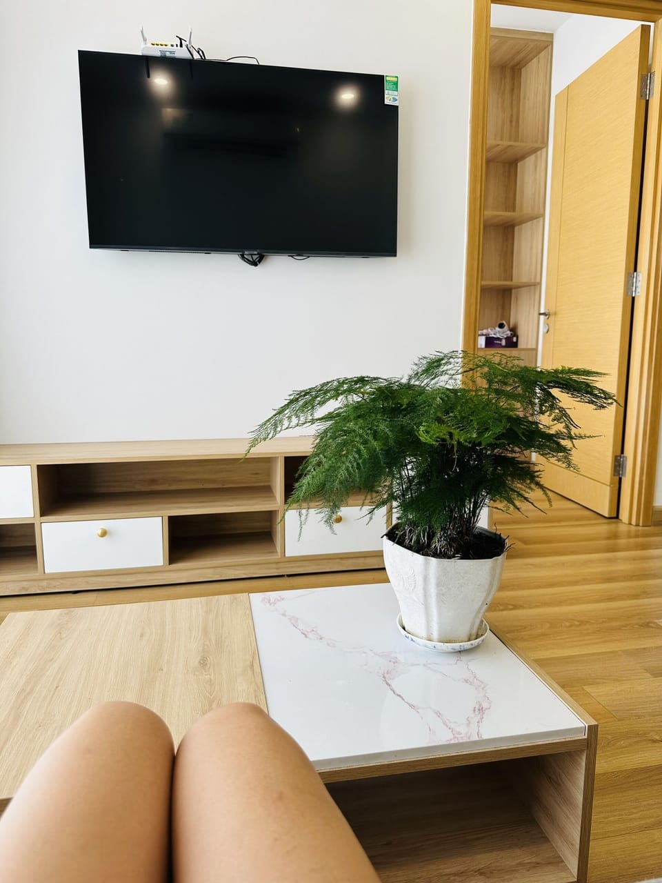 Television
