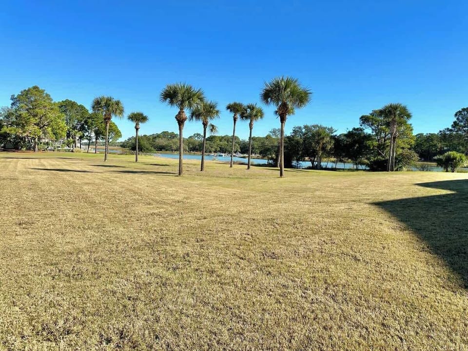 Open grassy area with palm trees and a view of the water under a clear blue sky