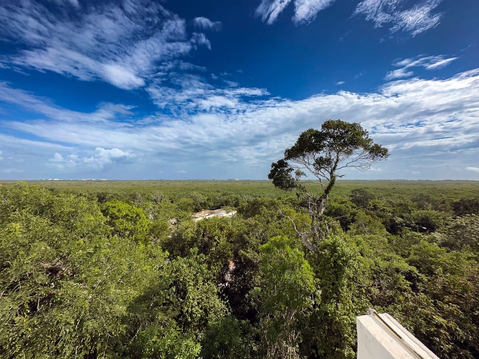 Roof view